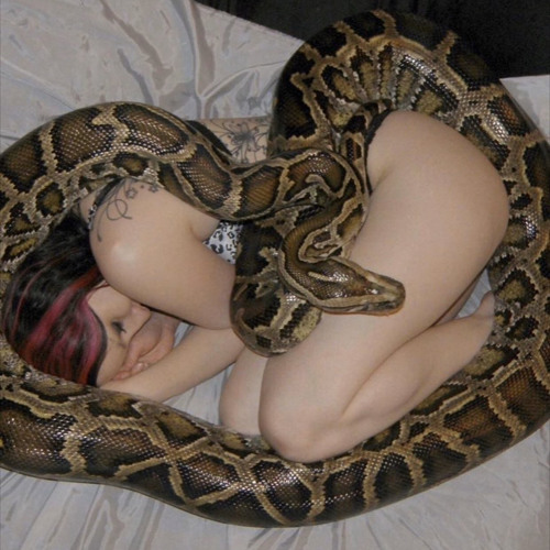 FRENTE A TI [kn•iaanshawty]