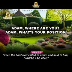 Adam, Where are You? Adam, What's Your Position!/Pastor Femi Paul/Thanksgiving Service