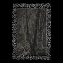 Anemoia - Forest of Fallen Giants