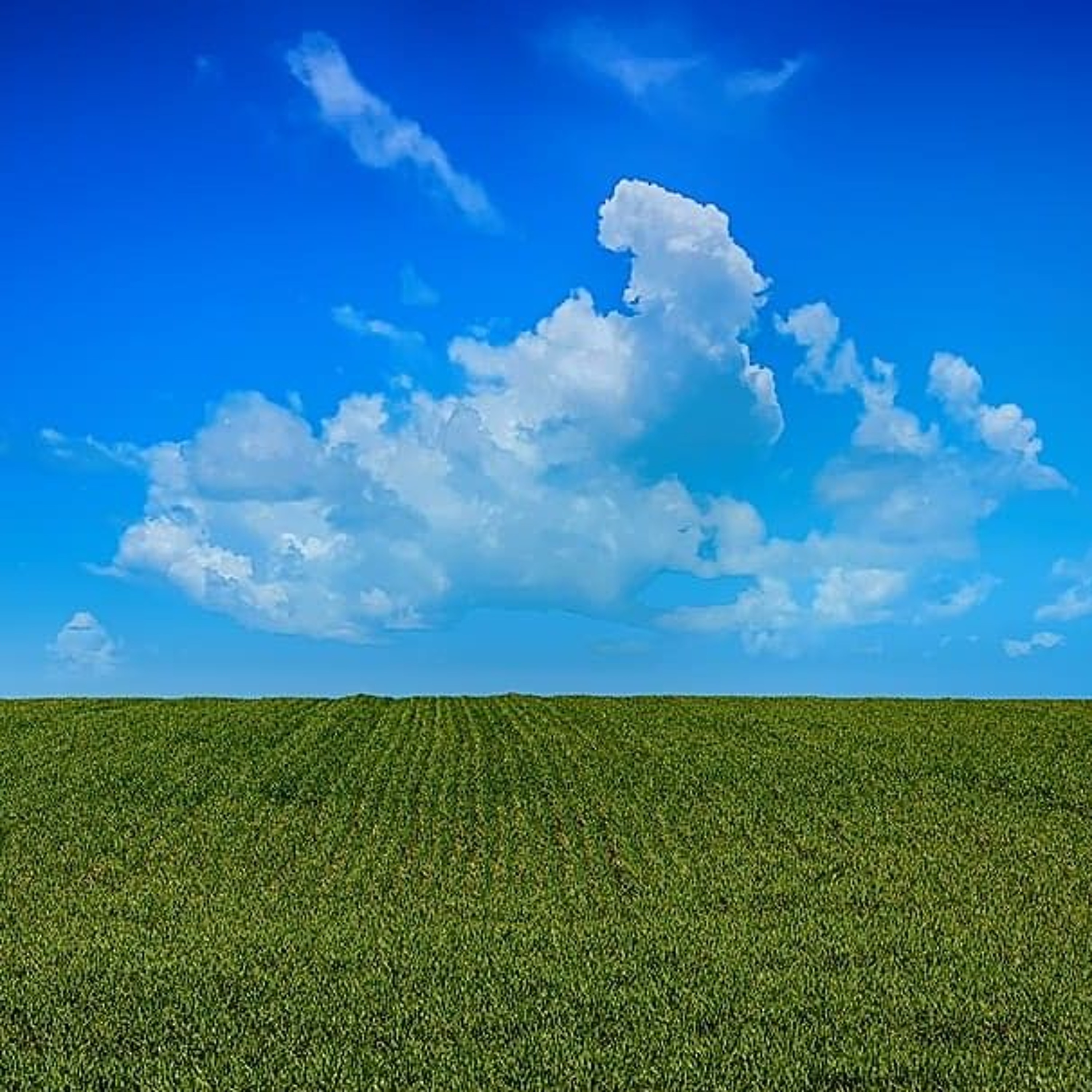 Shavuot - Bread From The Sky & Bread From The Land episode artwork