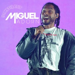 Adorn x Ngibambe (Illmatiq Amapiano Edit) Filtered For Copyright