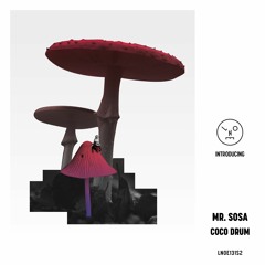 Mr. Sosa - Coco Drum