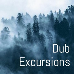 Dub Excursions