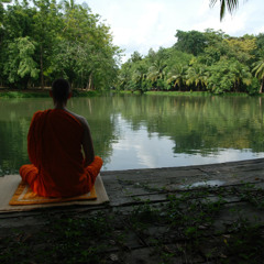 Inside (2008)