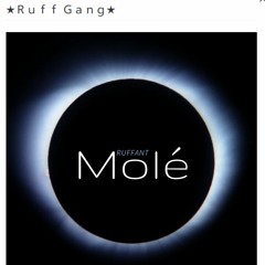 MOLÉ - NENZI X SORRI X MAKA - Guia