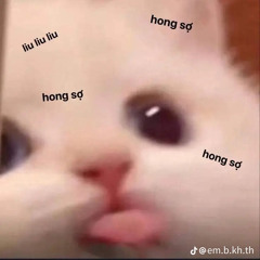 Nhạc này dính ảnh người điên