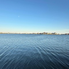 “nola” (prod. wort)