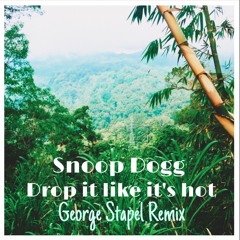 Snoop Dogg - Drop It Like It's Hot ( George Stapel Remix )ft. Pharrell Williams