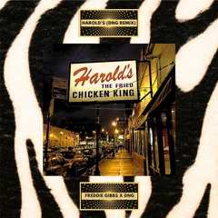 Freddie Gibbs - Harold's(DNG Remix)