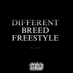 DIFFERENT BREED-FREESTYLE