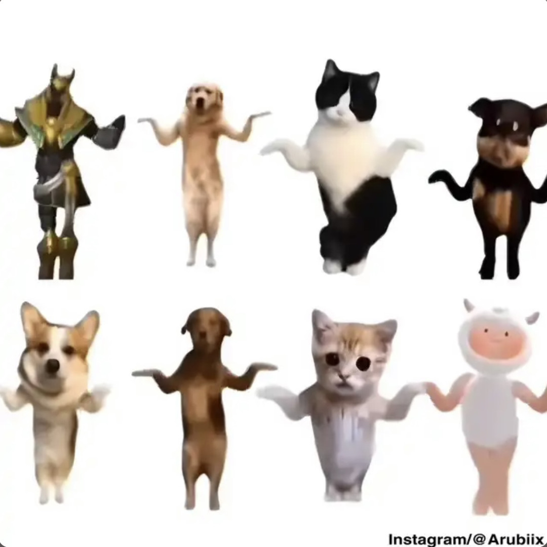 Stream chinese bath song | Chinese Cat Dance (洗澡舞 猫ミーム 猫マニ) by ANBOO ...