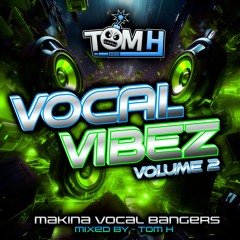 VOCAL VIBEZ VOLUME 2 (MAKINA)