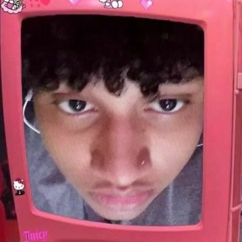 pluglip - ✨nunca matei uma mosca sequer 🎀