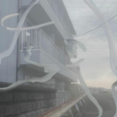 whitenoise
