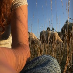 Musique Chienne • Sheep Summer Gaze (NO0S TAKEOVER MINI MIX)