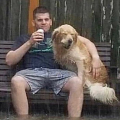 (не)идеальная | speed up