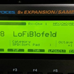 LoFiBlofeld (Pad)