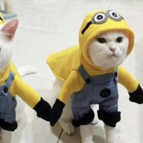 Leave Me(Prod. Geekinz)