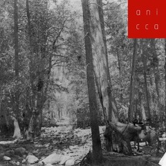 Come Find Me (low-fi)