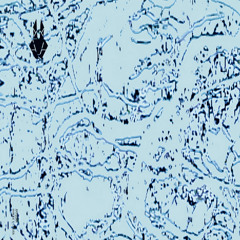 premiere: Rh.cher (Rhadoo & Traian Cherecheș) - Gwen [Secret Society Chile]