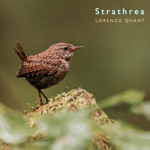 Strathrea (Autumn 2020)