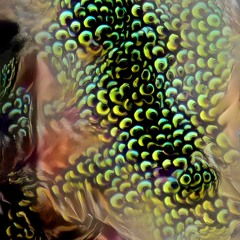 Residual Attributes for Holistic Memory Encoding: 3 [of 4]