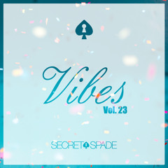 Vibes Vol.23