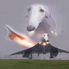 the dog