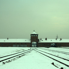 The Nazi Experiment, Vol. 4: Nazi Worldview, Nazi Organization