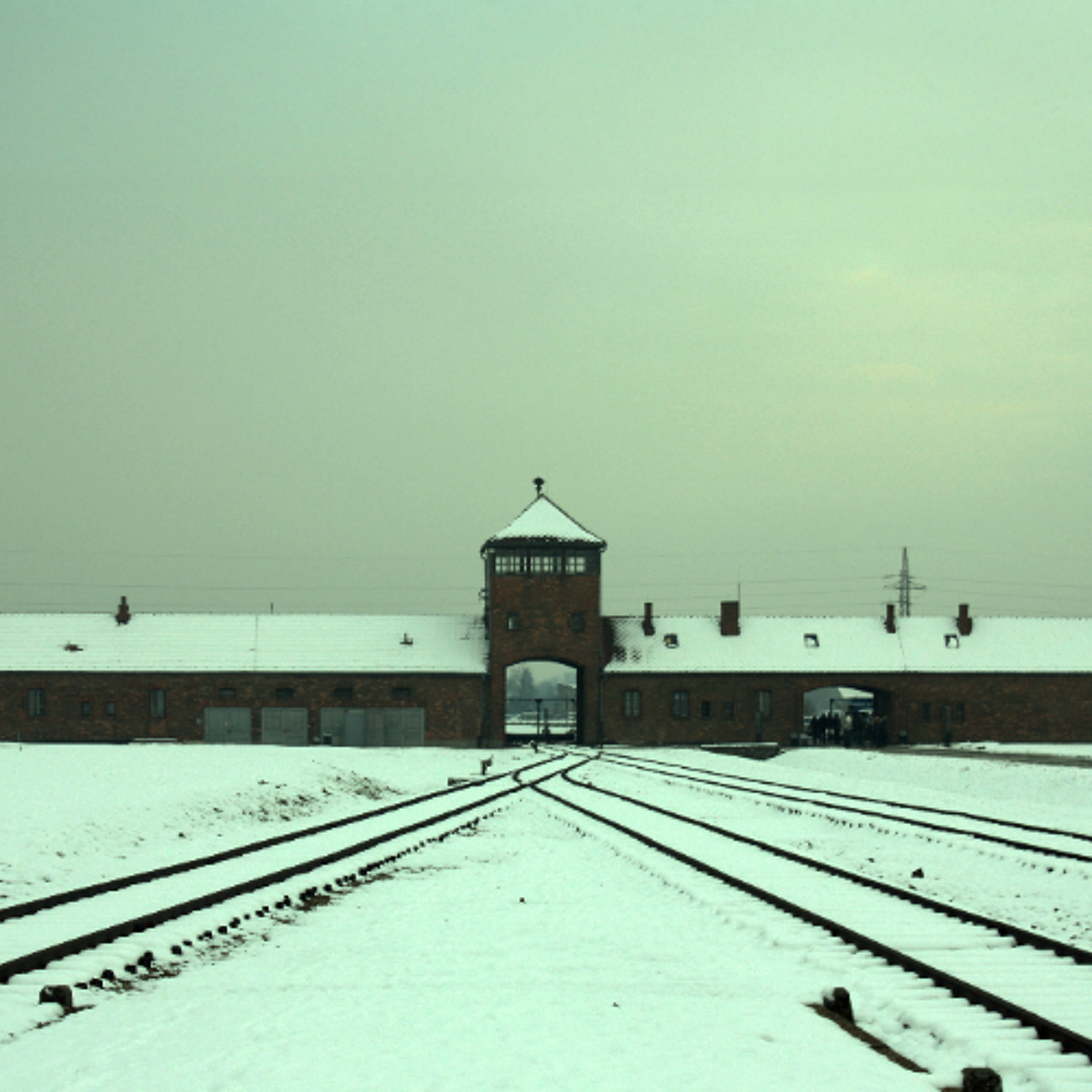 The Nazi Experiment, Vol. 4: Nazi Worldview, Nazi Organization