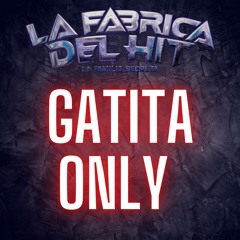 Gatita Only- T h e g a