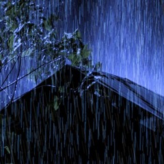Rain Sound On Tin Roof | Sleep, Study Or Relax With White Noise Of Rain