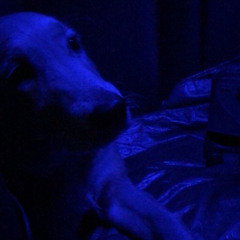 Why Is It The Same (Prod.Dirty$pray)