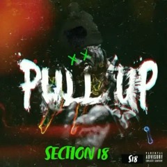 SECTION 18  - PULL UP (AUDIO)