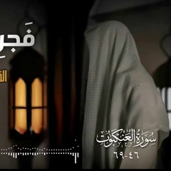 تلاوة هادئة سورة العنكبوت | عمر بن ضياء الدين _ فَجرِيّات رمضان 1445ه‍