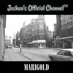 Marigold