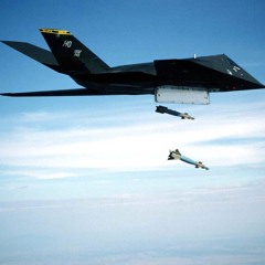 F117-Nighthawk (Track IDs)