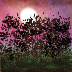 Moonrise