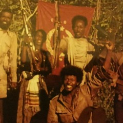 Podcast 29: Like Ho Chi Minh! Like Che Guevara!  Revolutionary Left in Ethiopia w/ Ian Scott Horst