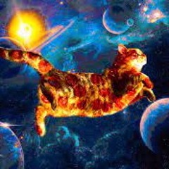 pizza cats from space 2 and sum
