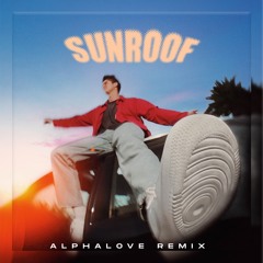 Nicky Youre - Sunroof (Alphalove Remix)