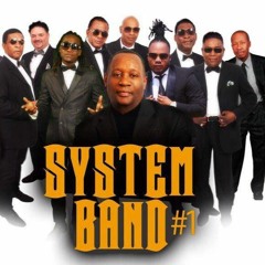 System Band Live Rale Menen Vini