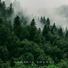 ORGANIC SOUNDS 02