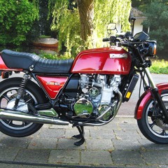 JE VEUX RAMPER ET MOURIR - 2020 -