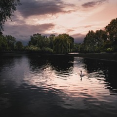 آيات السكينة - الشيخ أحمد النفيس