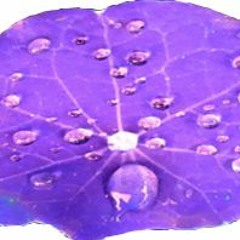 GüI #2 ... MutGeschenke. Auszug I Christina Poeschel.Ka Dietze