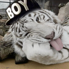 revealing prod me mata