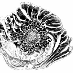 Memisis (2023) for large spatialized percussion ensemble