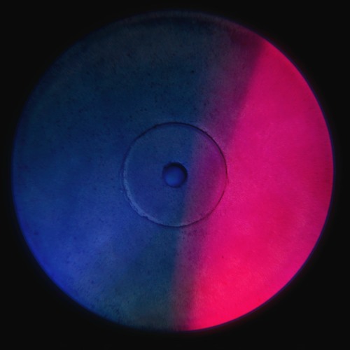 SHato & Paul Rockseek - Lobby Funk (Uppermost Remix)