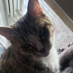 Hollybeats - 2023 - 4